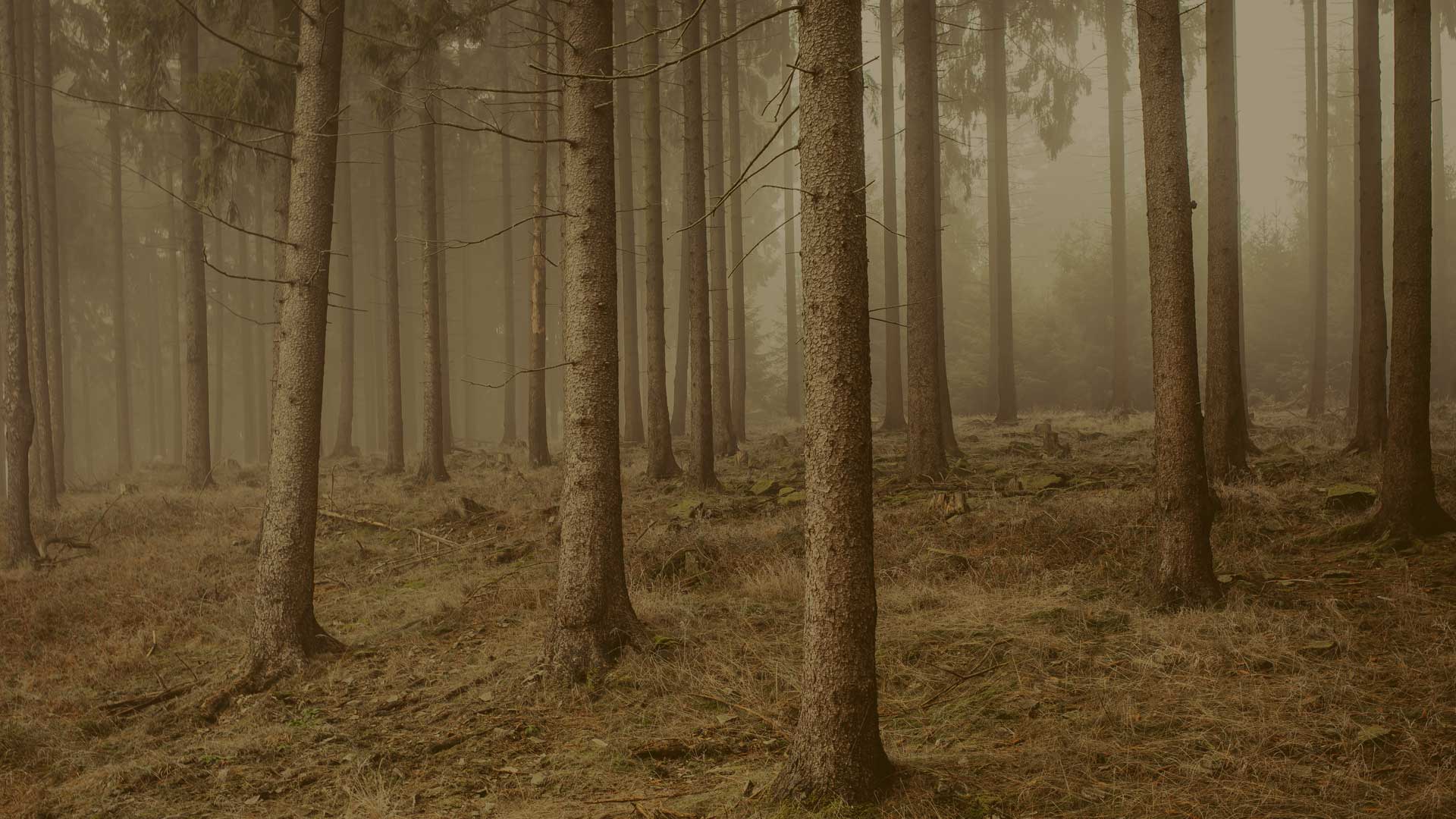 ürünler-slide